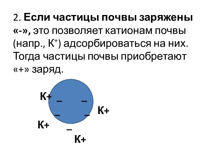 2. Если частицы почвы заряжены «-», это позволяет катионам почвы