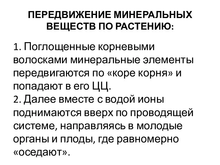 ПЕРЕДВИЖЕНИЕ МИНЕРАЛЬНЫХ ВЕЩЕСТВ ПО РАСТЕНИЮ: 1. Поглощенные корневыми волосками минеральные