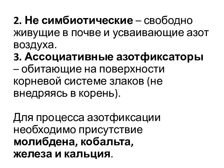 2. Не симбиотические – свободно живущие в почве и усваивающие