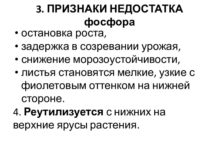 3. ПРИЗНАКИ НЕДОСТАТКА фосфора остановка роста, задержка в созревании урожая,