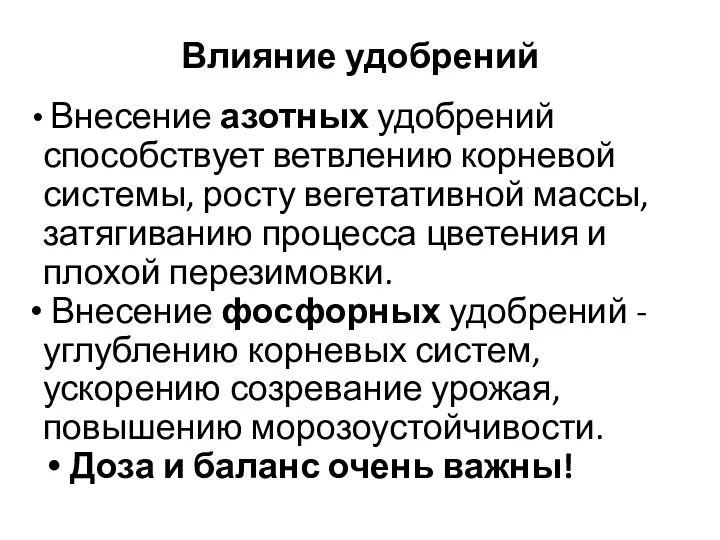 Влияние удобрений Внесение азотных удобрений способствует ветвлению корневой системы, росту