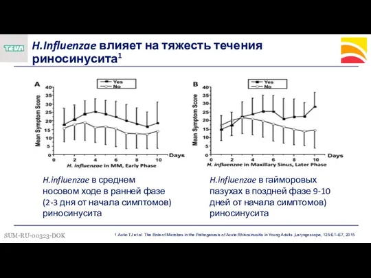 H.Influenzae влияет на тяжесть течения риносинусита1 H.influenzae в среднем носовом