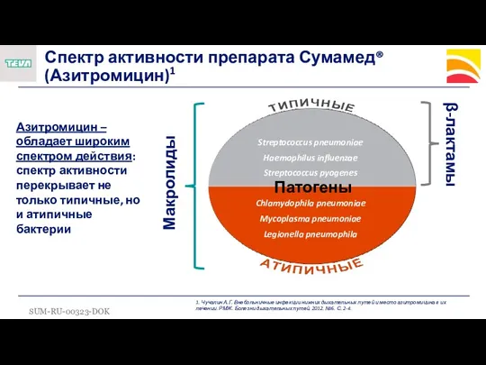 Streptococcus pneumoniae Haemophilus influenzae Streptococcus pyogenes Chlamydophila pneumoniae Mycoplasma pneumoniae