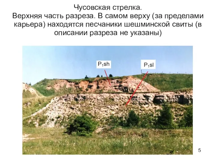 Чусовская стрелка. Верхняя часть разреза. В самом верху (за пределами