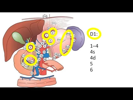 D1: 1–4 4s 4d 5 6