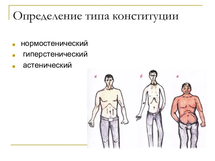 Определение типа конституции нормостенический гиперстенический астенический