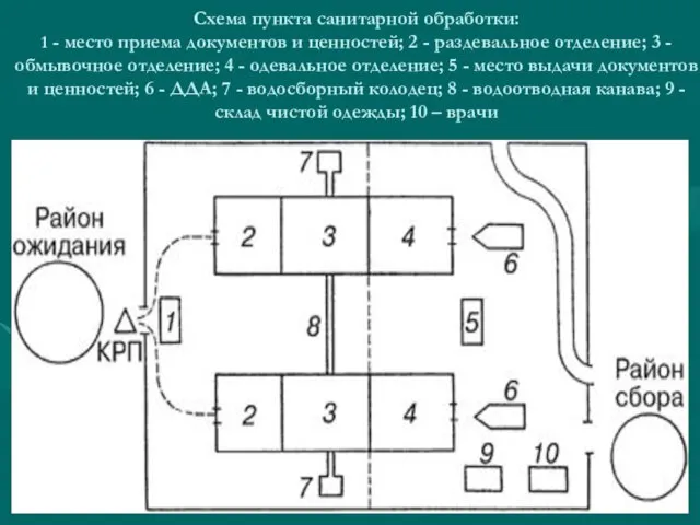 Схема пункта санитарной обработки: 1 - место приема документов и