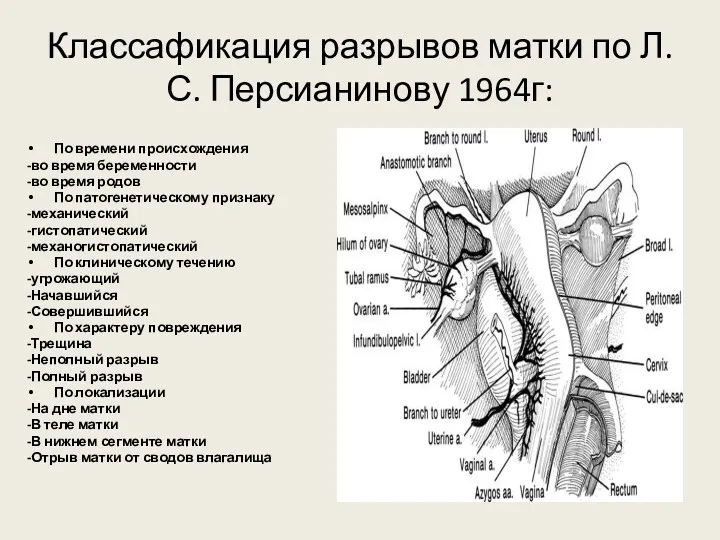 Классафикация разрывов матки по Л.С. Персианинову 1964г: По времени происхождения