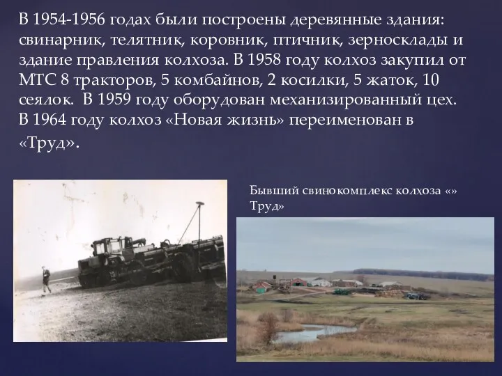 В 1954-1956 годах были построены деревянные здания: свинарник, телятник, коровник,