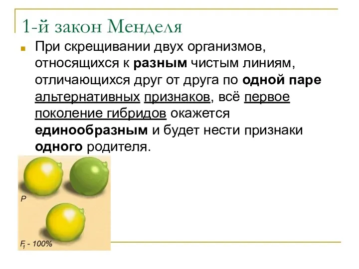 1-й закон Менделя При скрещивании двух организмов, относящихся к разным