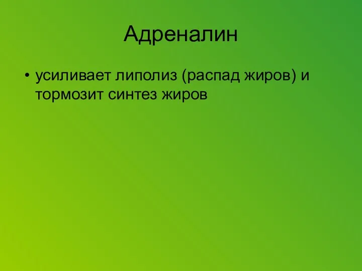 Адреналин усиливает липолиз (распад жиров) и тормозит синтез жиров