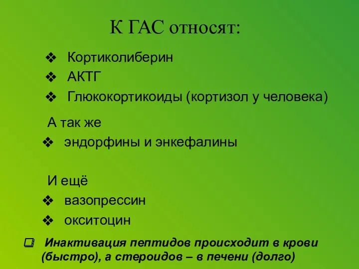 Кортиколиберин АКТГ Глюкокортикоиды (кортизол у человека) К ГАС относят: А