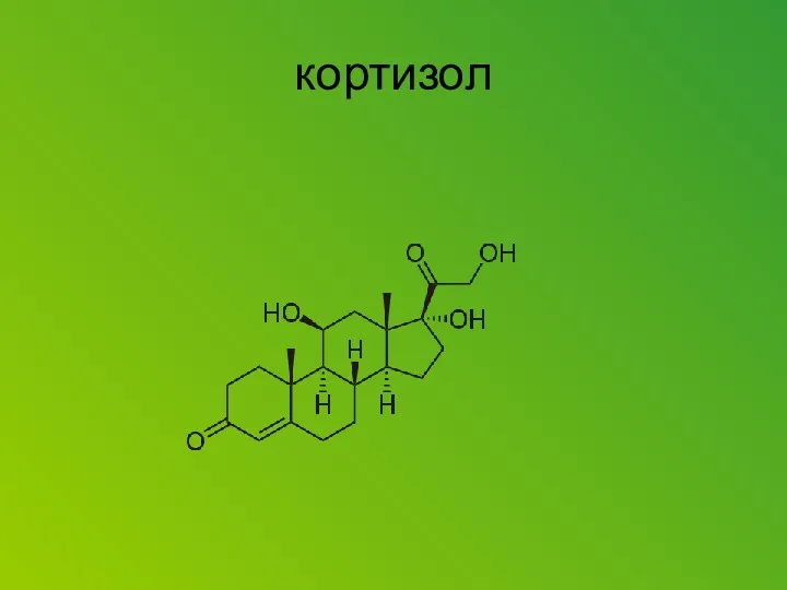 кортизол