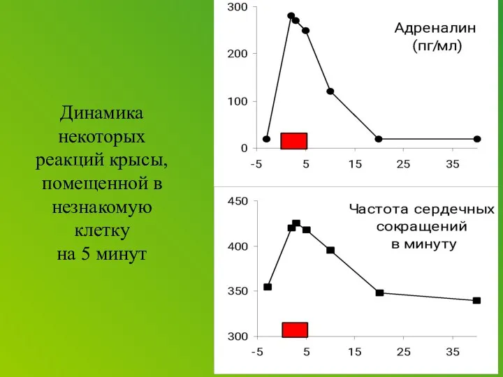 Динамика некоторых реакций крысы, помещенной в незнакомую клетку на 5 минут