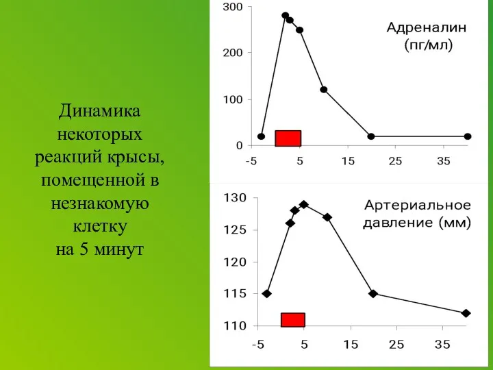 Динамика некоторых реакций крысы, помещенной в незнакомую клетку на 5 минут