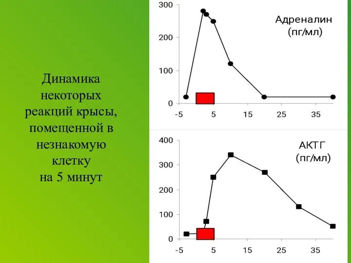 Динамика некоторых реакций крысы, помещенной в незнакомую клетку на 5 минут