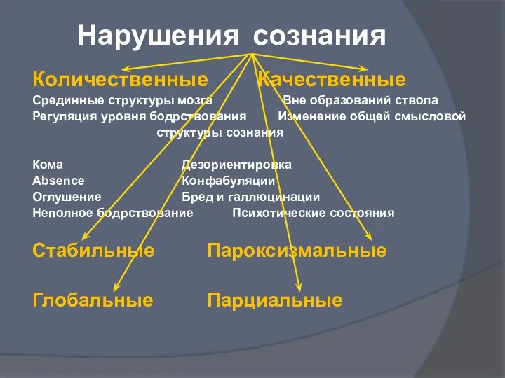 Нарушения сознания Количественные Качественные Срединные структуры мозга Вне образований ствола