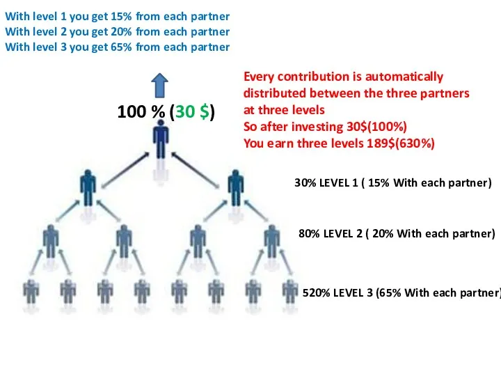 30% LEVEL 1 ( 15% With each partner) 80% LEVEL 2 ( 20%