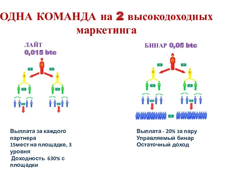 ЛАЙТ 0,015 btc БИНАР 0,05 btc ОДНА КОМАНДА на 2 высокодоходных маркетинга Выплата