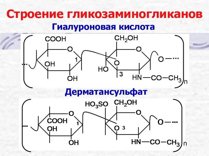 Строение гликозаминогликанов Гиалуроновая кислота Дерматансульфат n n