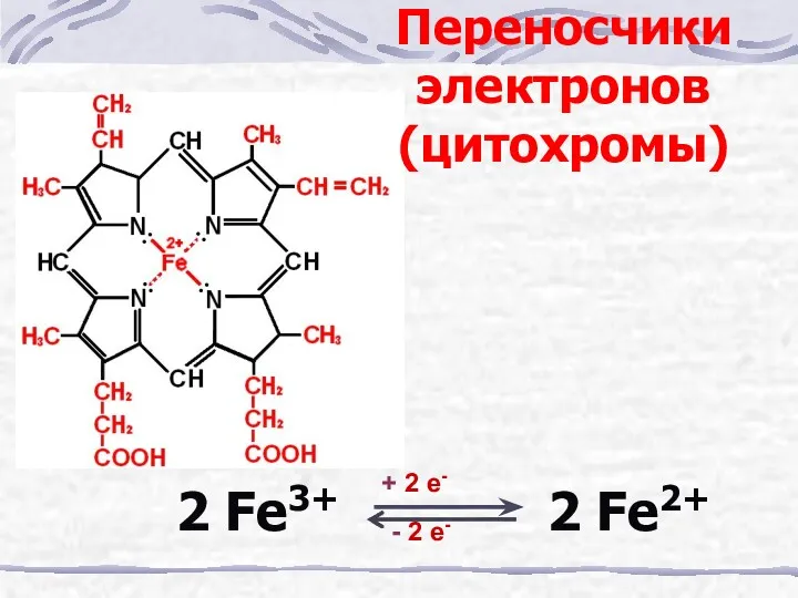 2 Fe3+ 2 Fe2+ + 2 e- - 2 e- Переносчики электронов (цитохромы)