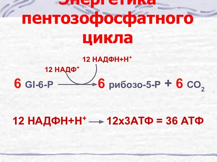 Энергетика пентозофосфатного цикла 6 Gl-6-P 6 рибозо-5-P + 6 СО2 12 НАДФ+ 12