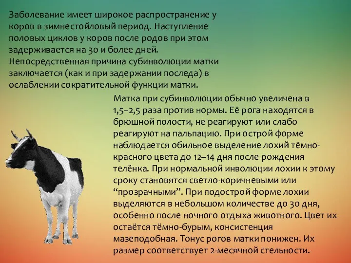 Заболевание имеет широкое распространение у коров в зимнестойловый период. Наступление