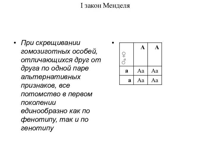 I закон Менделя При скрещивании гомозиготных особей, отличающихся друг от