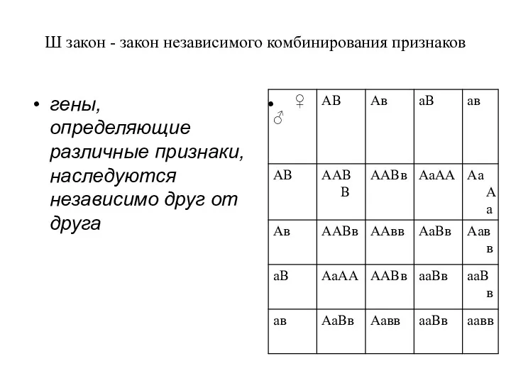 Ш закон - закон независимого комбинирования признаков гены, определяющие различные признаки, наследуются независимо друг от друга