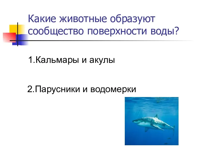 Какие животные образуют сообщество поверхности воды? 1.Кальмары и акулы 2.Парусники и водомерки