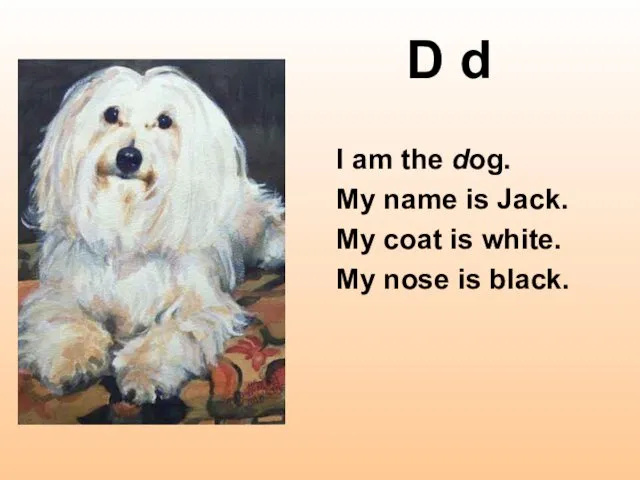 D d I am the dog. My name is Jack.
