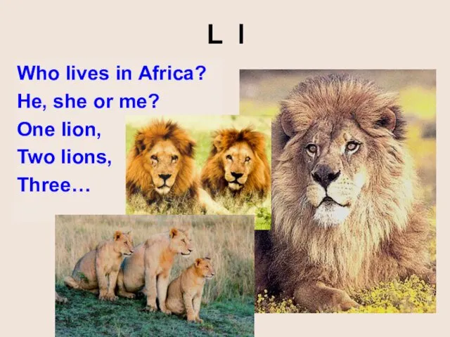 L l Who lives in Africa? He, she or me? One lion, Two lions, Three…