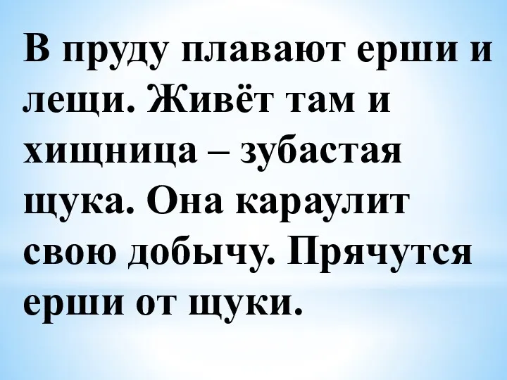 В пруду плавают ерши и лещи. Живёт там и хищница