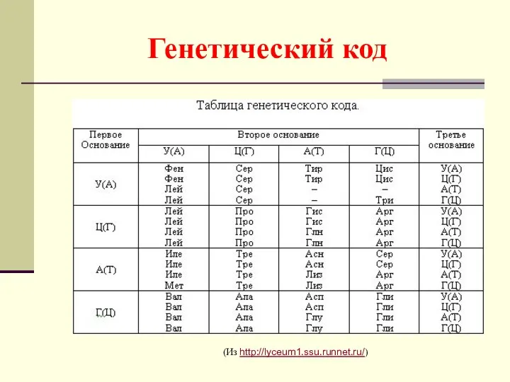 Генетический код (Из http://lyceum1.ssu.runnet.ru/)