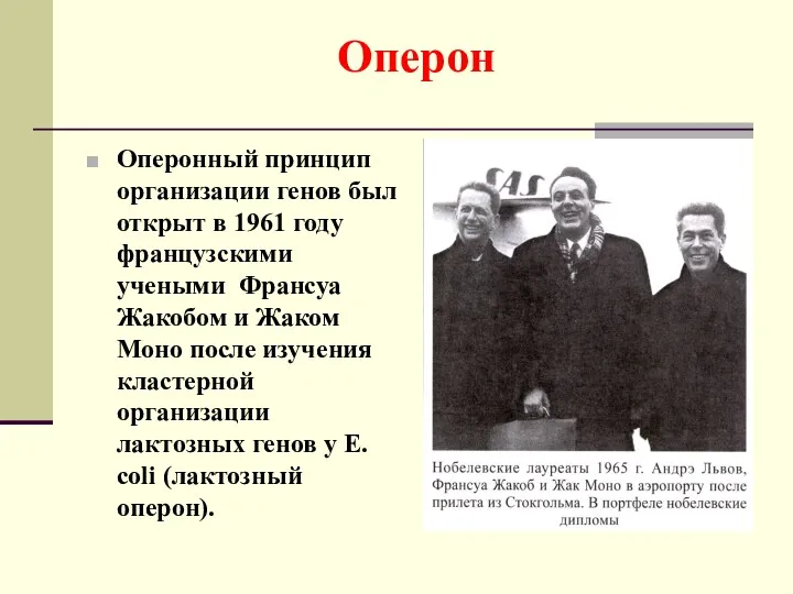 Оперон Оперонный принцип организации генов был открыт в 1961 году