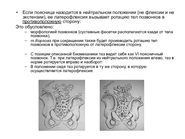 Если поясница находится в нейтральном положении (не флексии и не