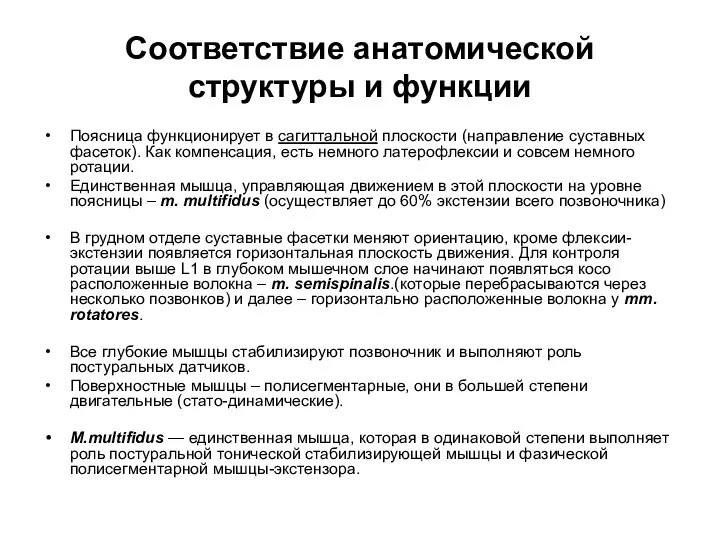 Соответствие анатомической структуры и функции Поясница функционирует в сагиттальной плоскости