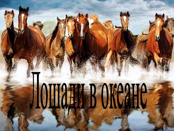 Лошади в океане