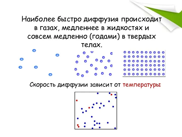 Наиболее быстро диффузия происходит в газах, медленнее в жидкостях и