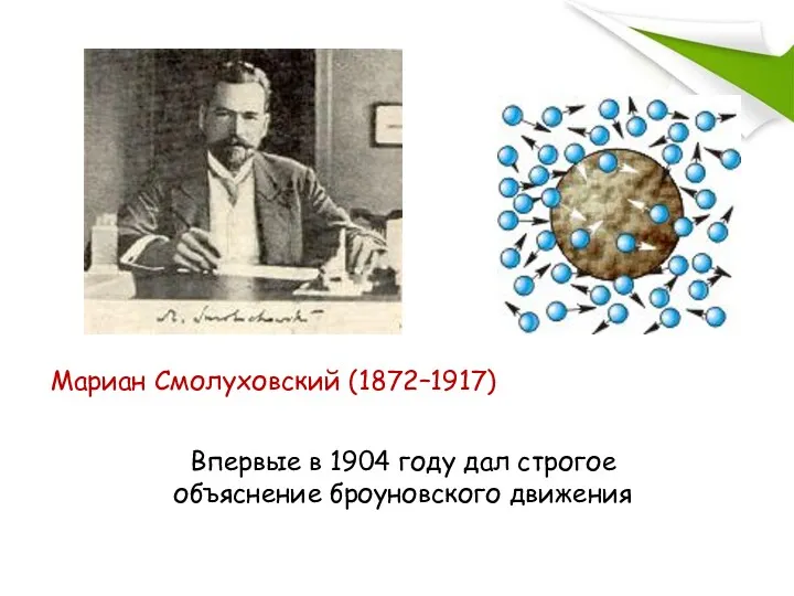 Мариан Смолуховский (1872–1917) Впервые в 1904 году дал строгое объяснение броуновского движения