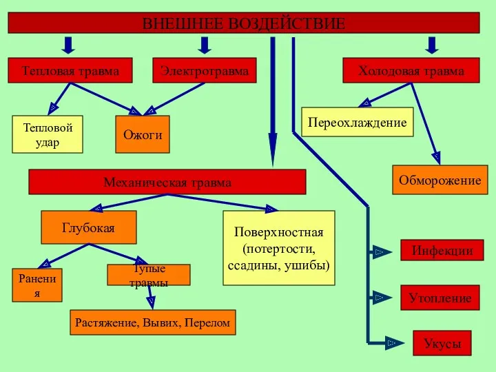 ВНЕШНЕЕ ВОЗДЕЙСТВИЕ Механическая травма Тепловая травма Холодовая травма Утопление Инфекции