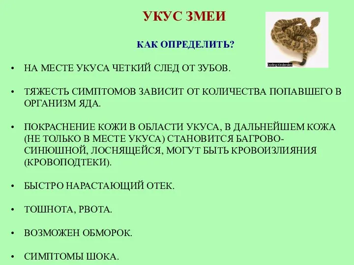 УКУС ЗМЕИ КАК ОПРЕДЕЛИТЬ? НА МЕСТЕ УКУСА ЧЕТКИЙ СЛЕД ОТ