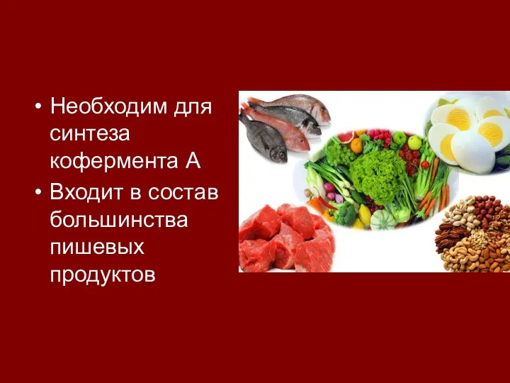 Необходим для синтеза кофермента А Входит в состав большинства пишевых продуктов