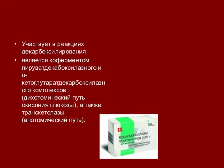 Участвует в реакциях декарбоксилирования является коферментом пируватдекабоксилазного и α-кетоглутаратдекарбоксилазного комплексов