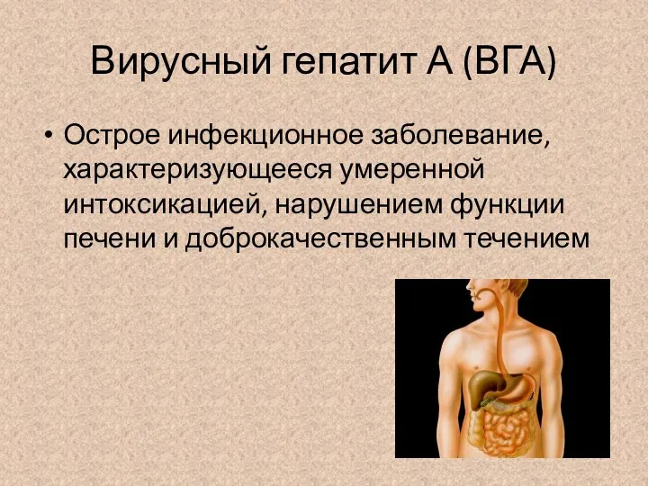 Вирусный гепатит А (ВГА) Острое инфекционное заболевание, характеризующееся умеренной интоксикацией, нарушением функции печени и доброкачественным течением