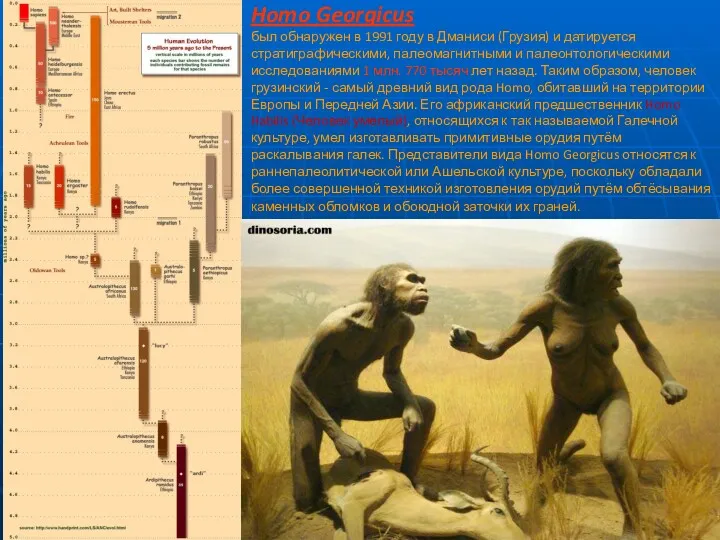 Homo Georgicus был обнаружен в 1991 году в Дманиси (Грузия)