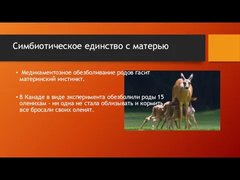 Симбиотическое единство с матерью Медикаментозное обезболивание родов гасит материнский инстинкт.