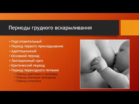 Периоды грудного вскармливания Подготовительный Период первого прикладывания Адаптационный Основной период