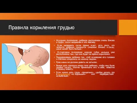 Правила кормления грудью Исходное положение: ребенок расположен очень близко к