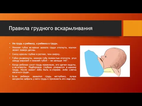 Правила грудного вскармливания Не грудь к ребенку, а ребенка к